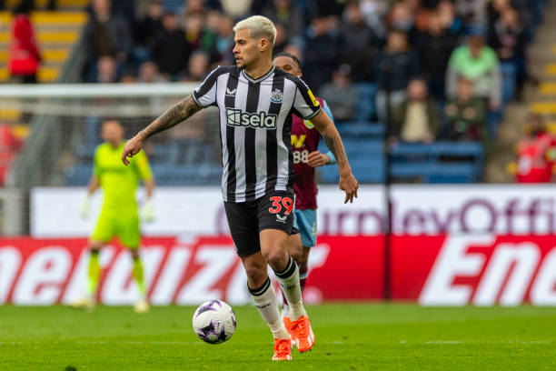 阿迪達也需 阿迪達也需